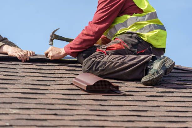 Best Roof Leak Repair  in Brooksi, DE