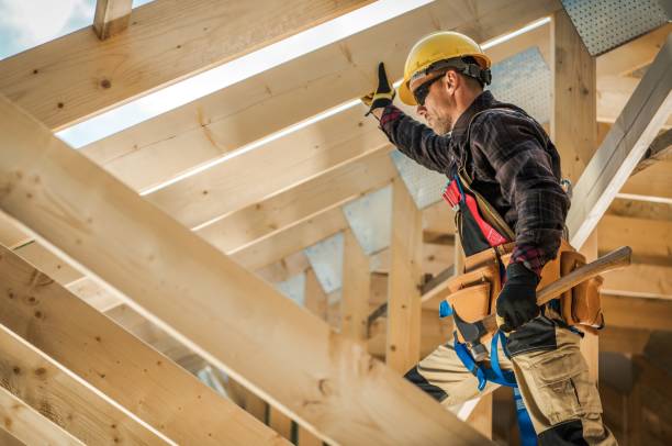 Best Roof Waterproofing Services  in Brooksi, DE