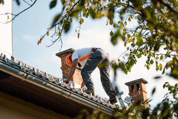 Best Flat Roof Repair Services  in Brooksi, DE