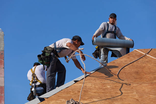 Best Local Roofing Companies  in Brooksi, DE